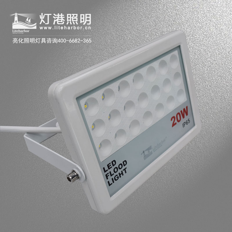 DG5267- LED投光燈