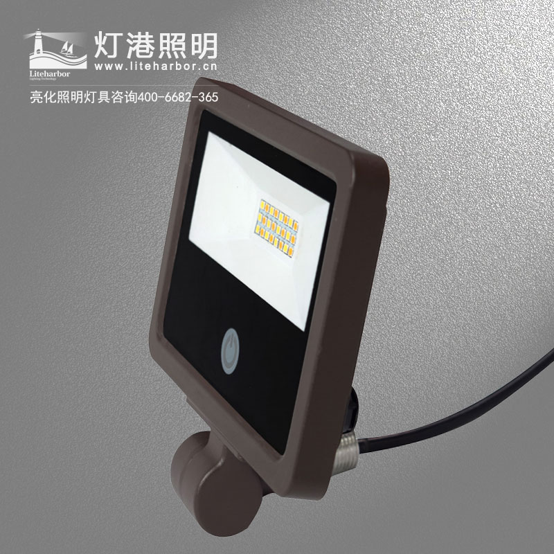 DG5212-感應(yīng)LED投光燈/樓體投光燈/LED照樹燈/戶外投光燈